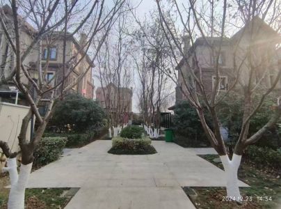 挑战全网最低独栋， 北城金科半岛一号类独栋337平475万 价格好谈，产证在手 