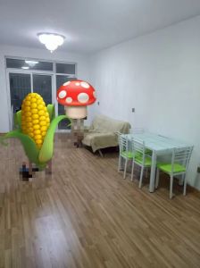 丽水河畔88平方简装